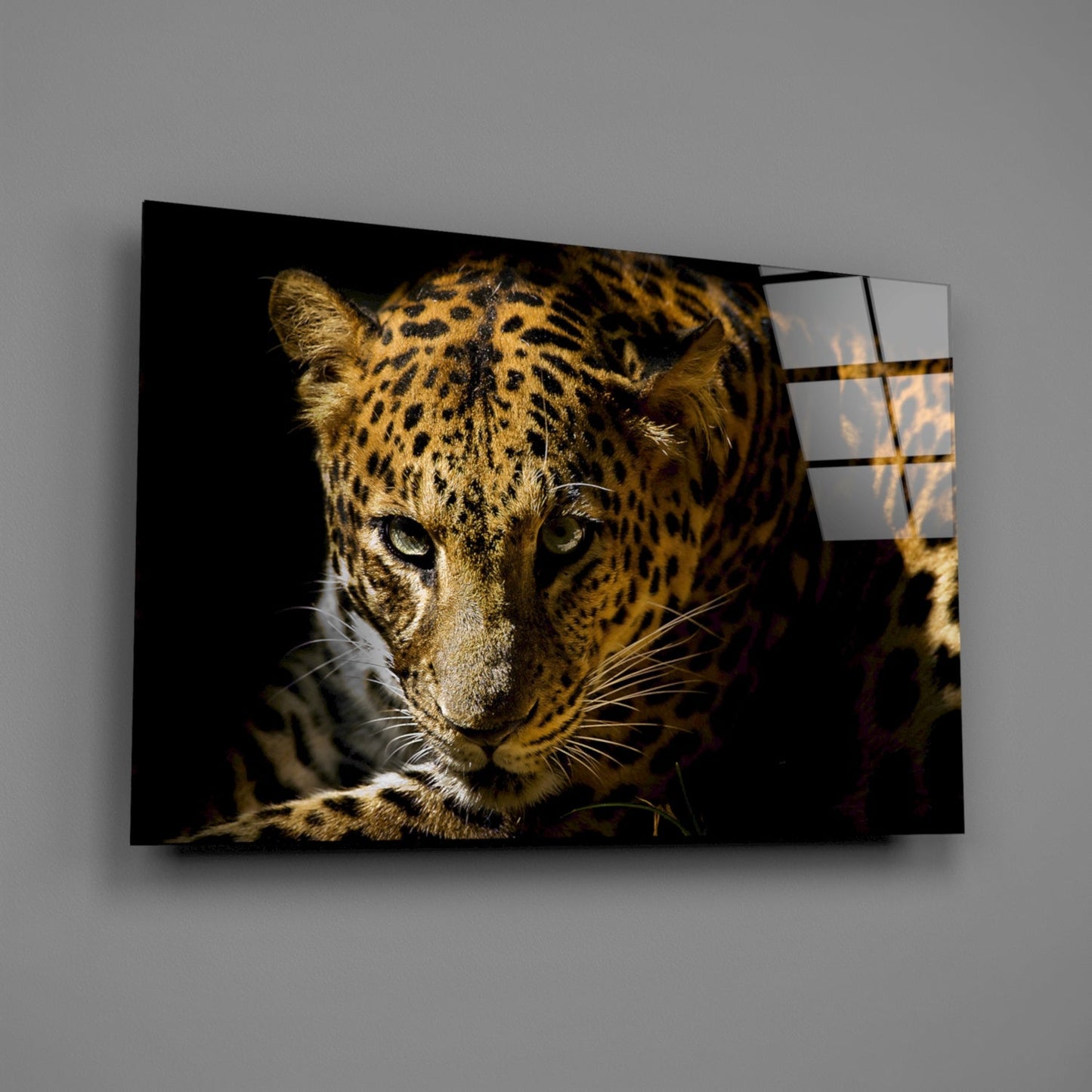 Leopard Amber Gaze Glass Wall Art