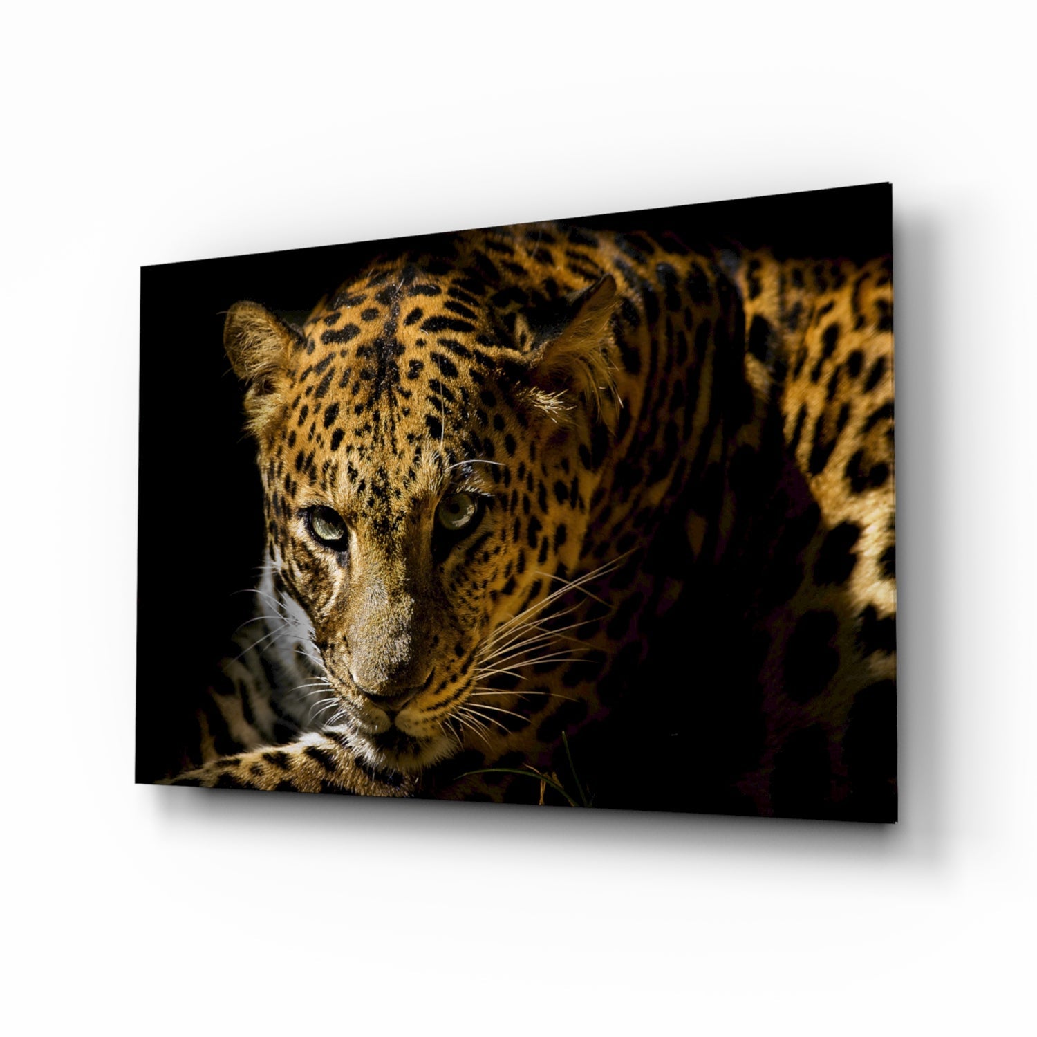 Leopard amber gaze tempered glass wall art