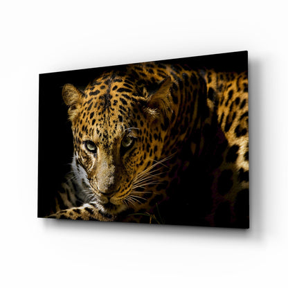 Leopard amber gaze tempered glass wall art