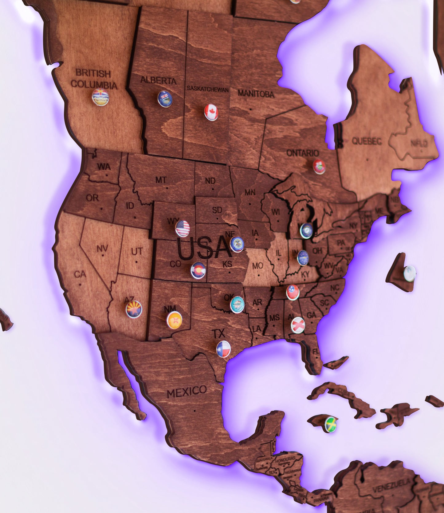LED Wooden World Map Wall Art - Oak
