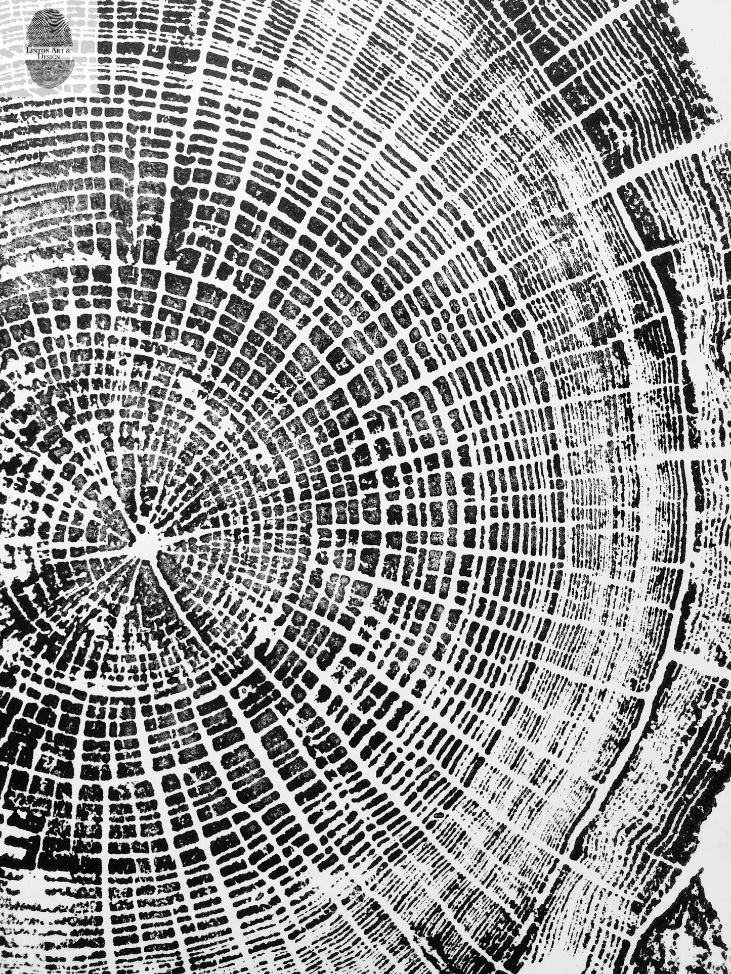 Oregon Coast Driftwood Tree Ring Woodcut Print - Cannon Beach