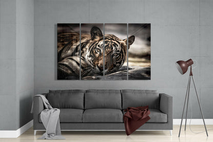 Tiger Glass Wall Art