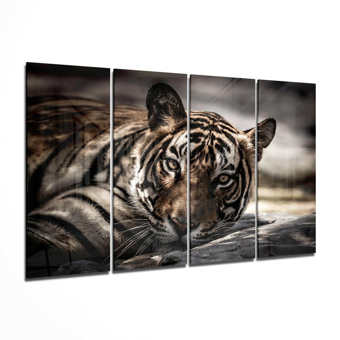 Tiger portrait glass wall art display