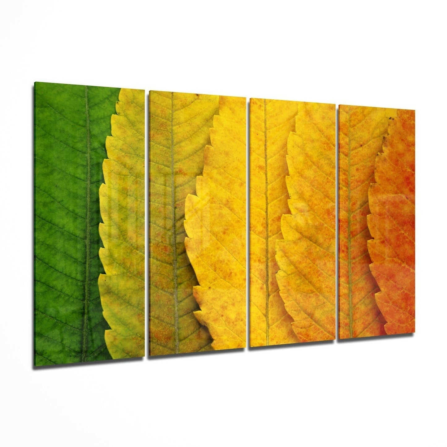 Autumn Leaves glass wall art