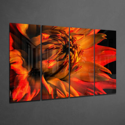 Gerbera Daisy 4-Piece Glass Wall Art Set
