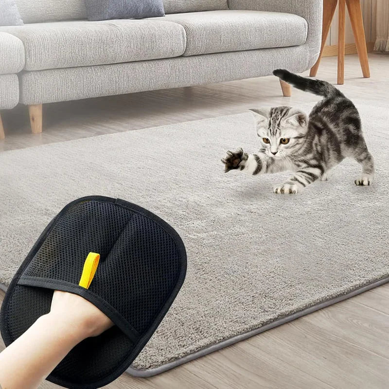 Person using a black pet hair removal glove to clean carpet while a playful kitten watches.