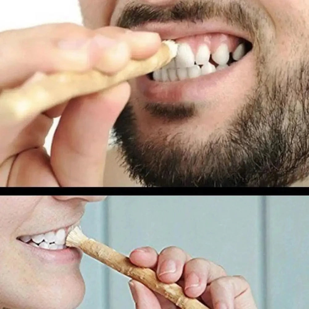 Person using miswak toothbrush stick for natural teeth cleaning without toothpaste

