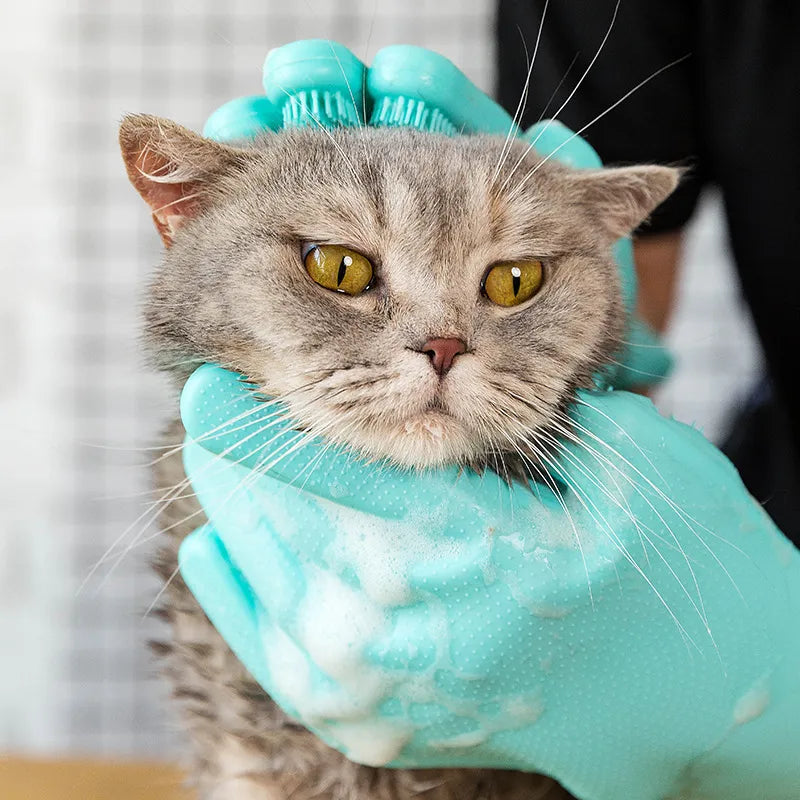 Person using pet grooming gloves to bathe gray cat comfortably