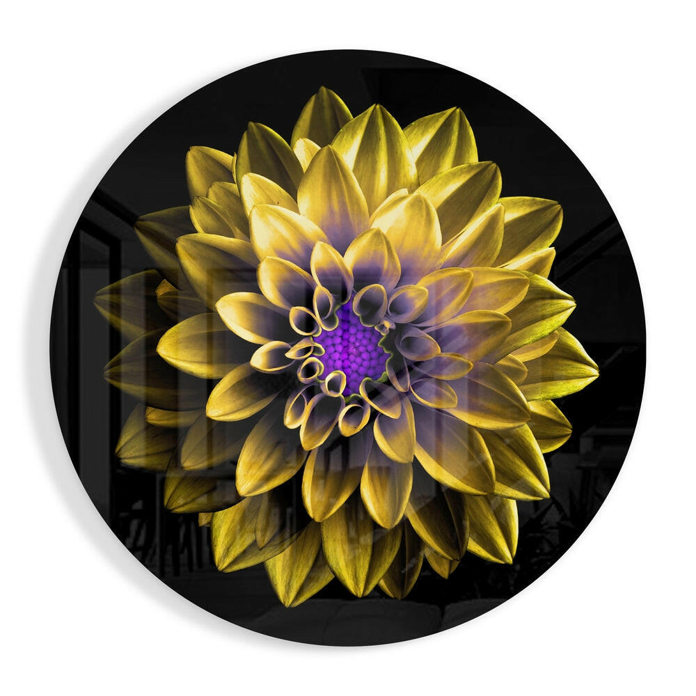 Yellow Dahlia Purple Center Art