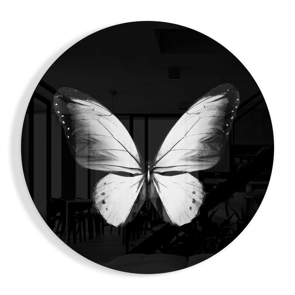Butterfly glass wall art vivid tempered glass print