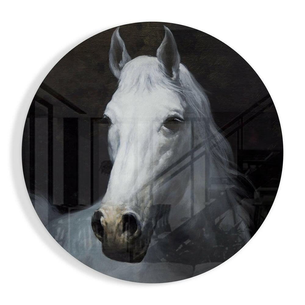 White Horse Portrait Circle Art