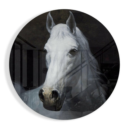 White Horse Portrait Circle Art
