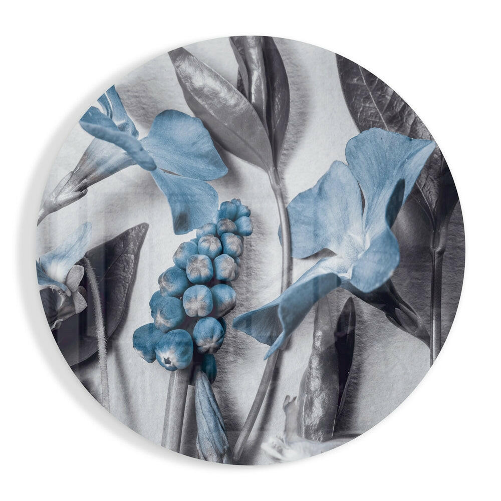 Steel Blue Flower Study glass wall art print in high-gloss tempered glass