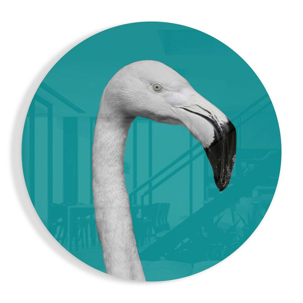 White Flamingo Teal Circle Glass Art