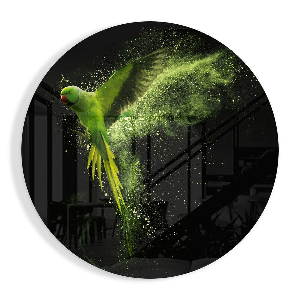 Flying Parakeet glass wall art print in high-gloss tempered glass