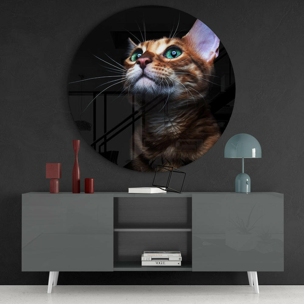 Cat Glass Wall Art - Cute Feline Home Accent
