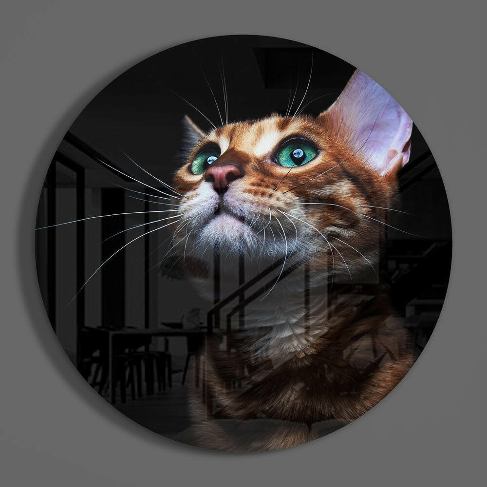 Cat Glass Wall Art - Cute Feline Home Accent