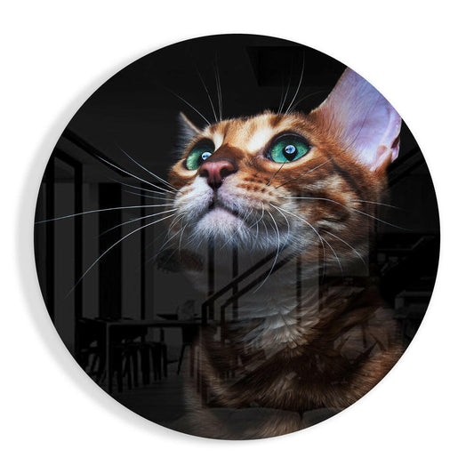 Cat glass wall art with cute feline design on glossy tempered glass