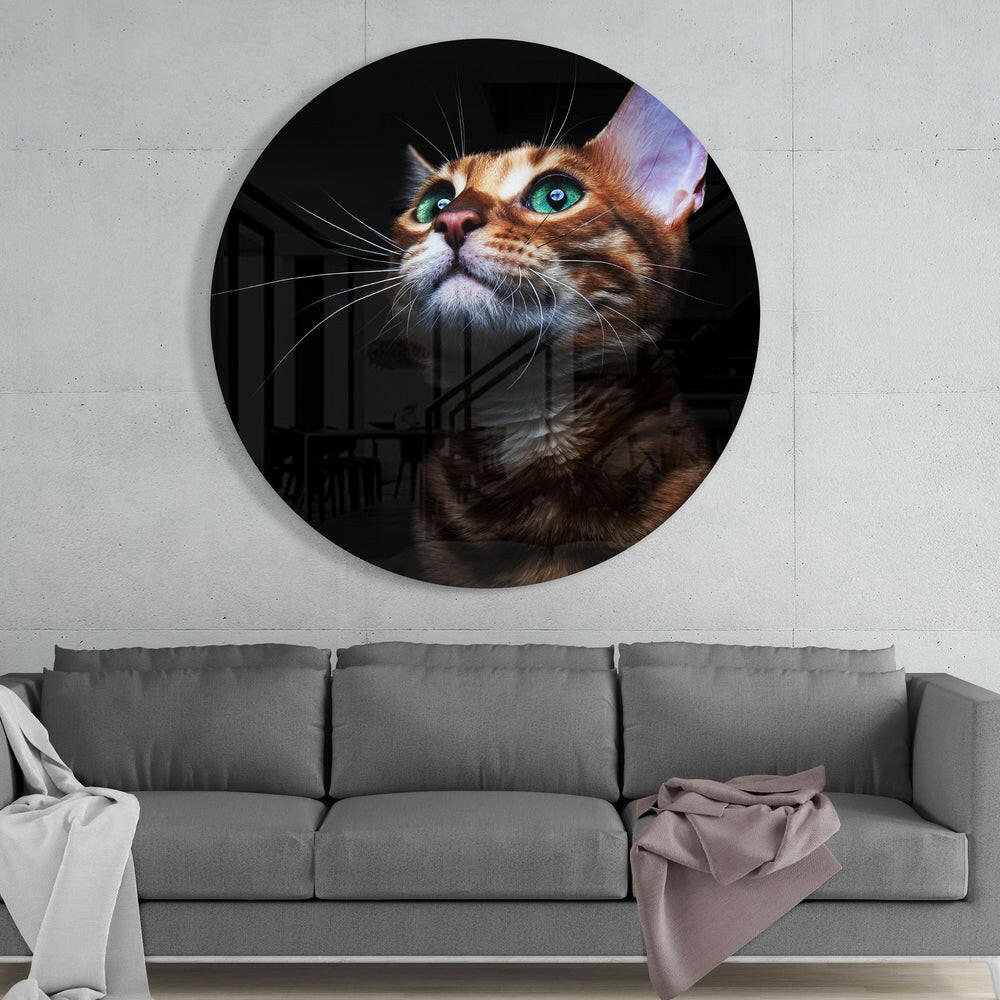Cat Glass Wall Art - Cute Feline Home Accent