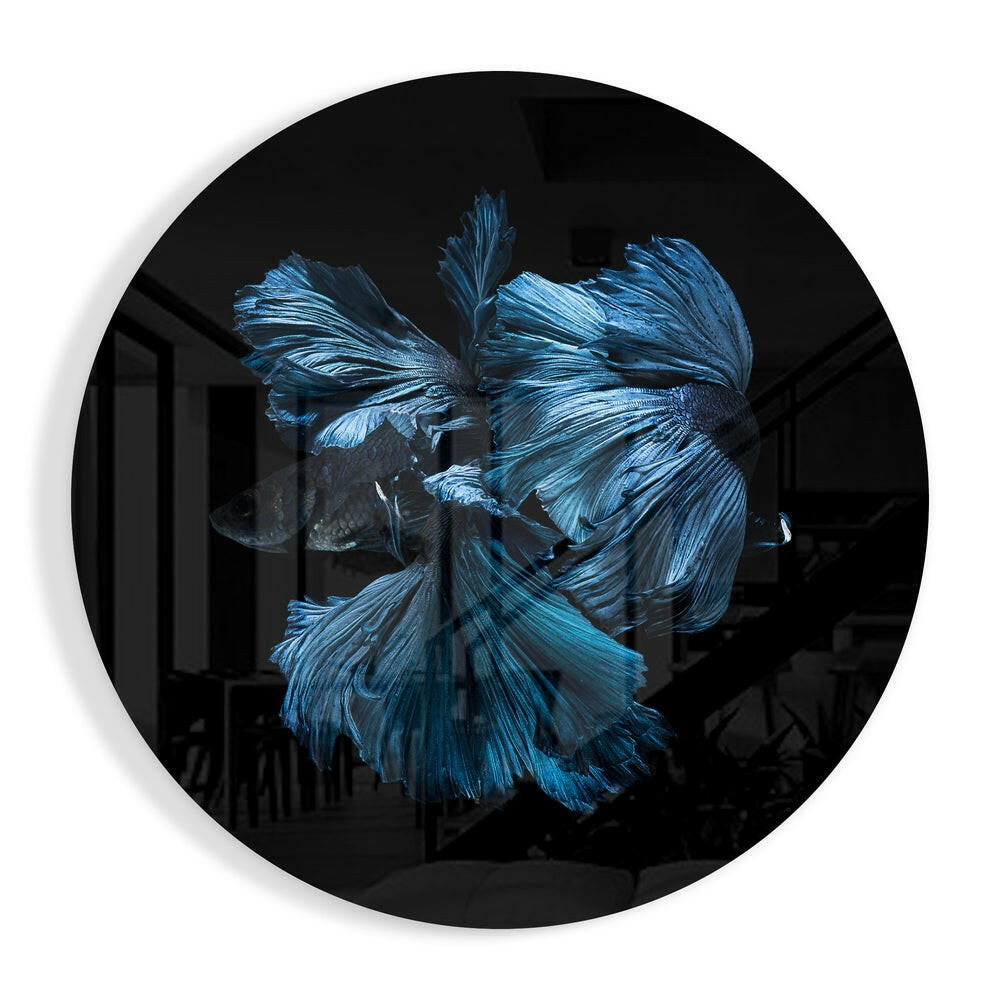 Betta fish flowing fins glass wall art