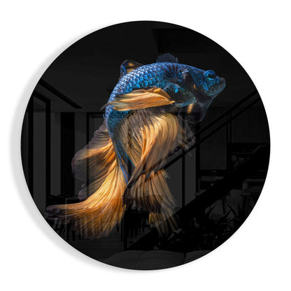 Golden Tail Blue Betta Fish glass wall art aquarium print