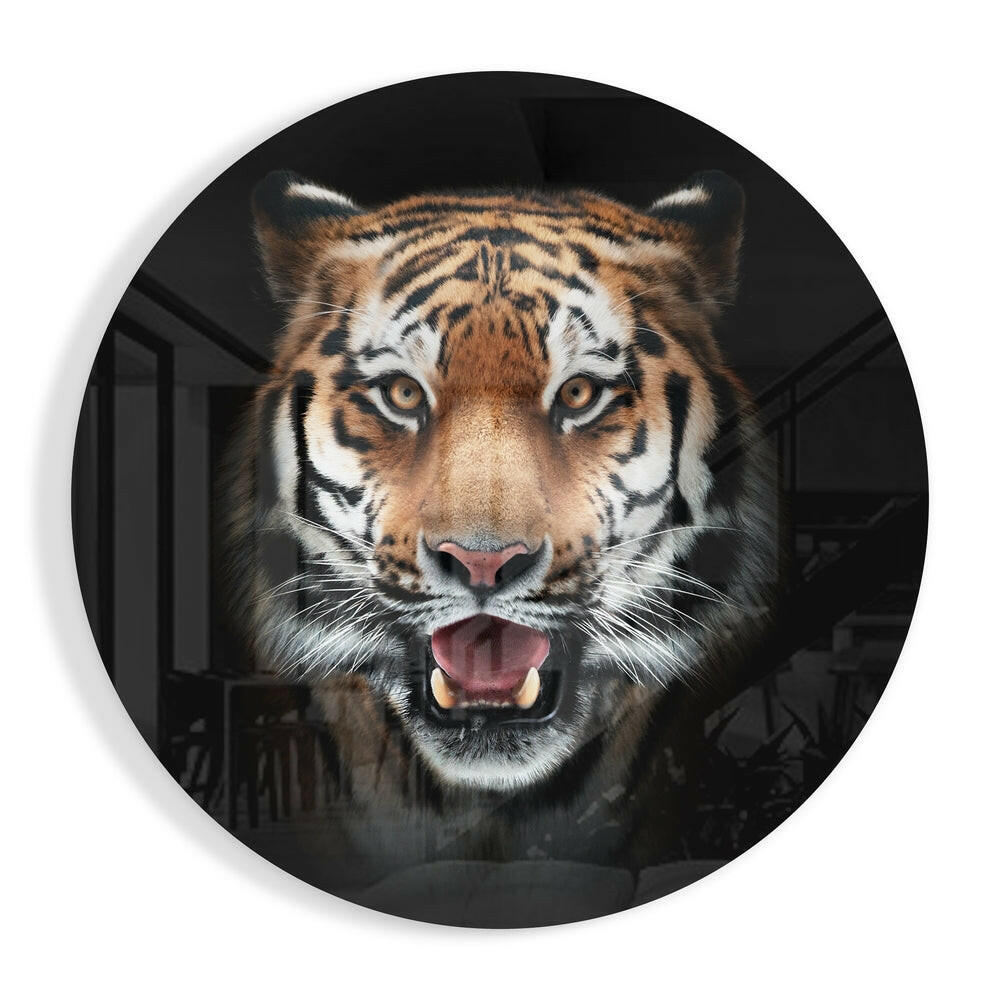 Tiger glass wall art wildlife statement in vivid detail