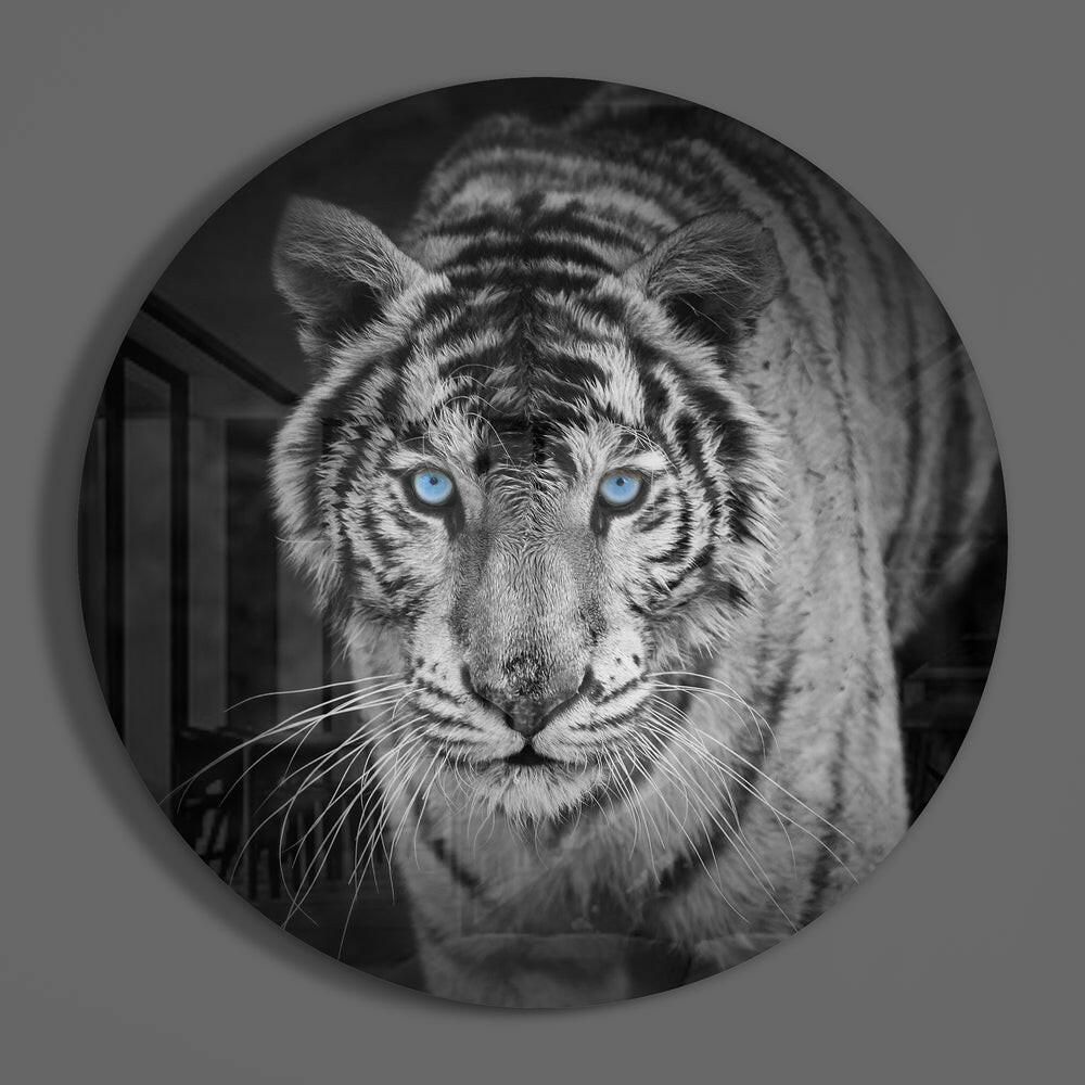 Tiger Glass Wall Art Big Cat Print