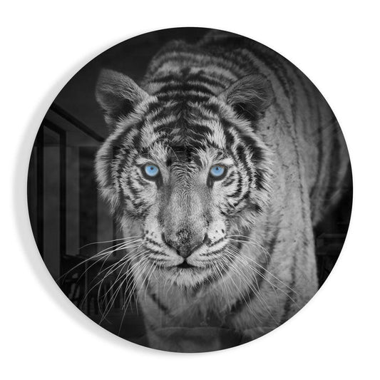 Tiger glass wall art big cat in vivid detail
