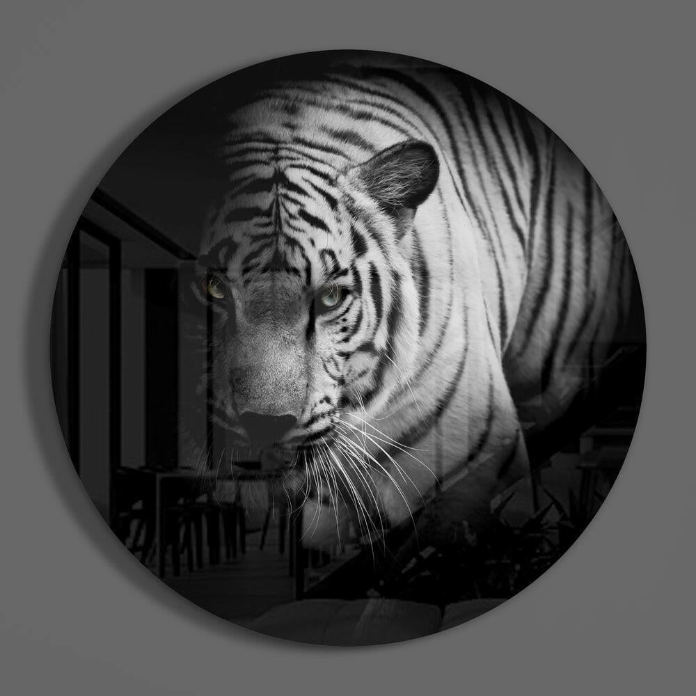 Tiger Glass Wall Art Wildlife Portrait Print