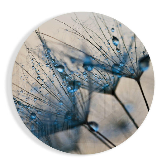 Close-up of dandelion seeds with blue dewdrops on fine filaments over a soft beige ground, round glass wall art