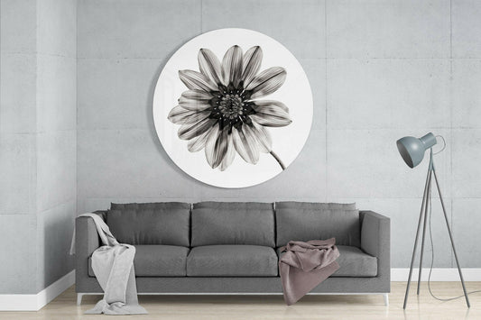 Black and white gazania daisy round glass wall art above a gray sofa beside a tripod floor lamp on a pale concrete wall