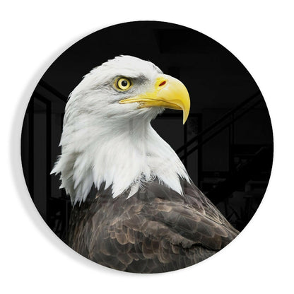 Bald eagle head round glass wall art