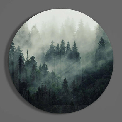 Misty Evergreen Forest Glass Wall Art