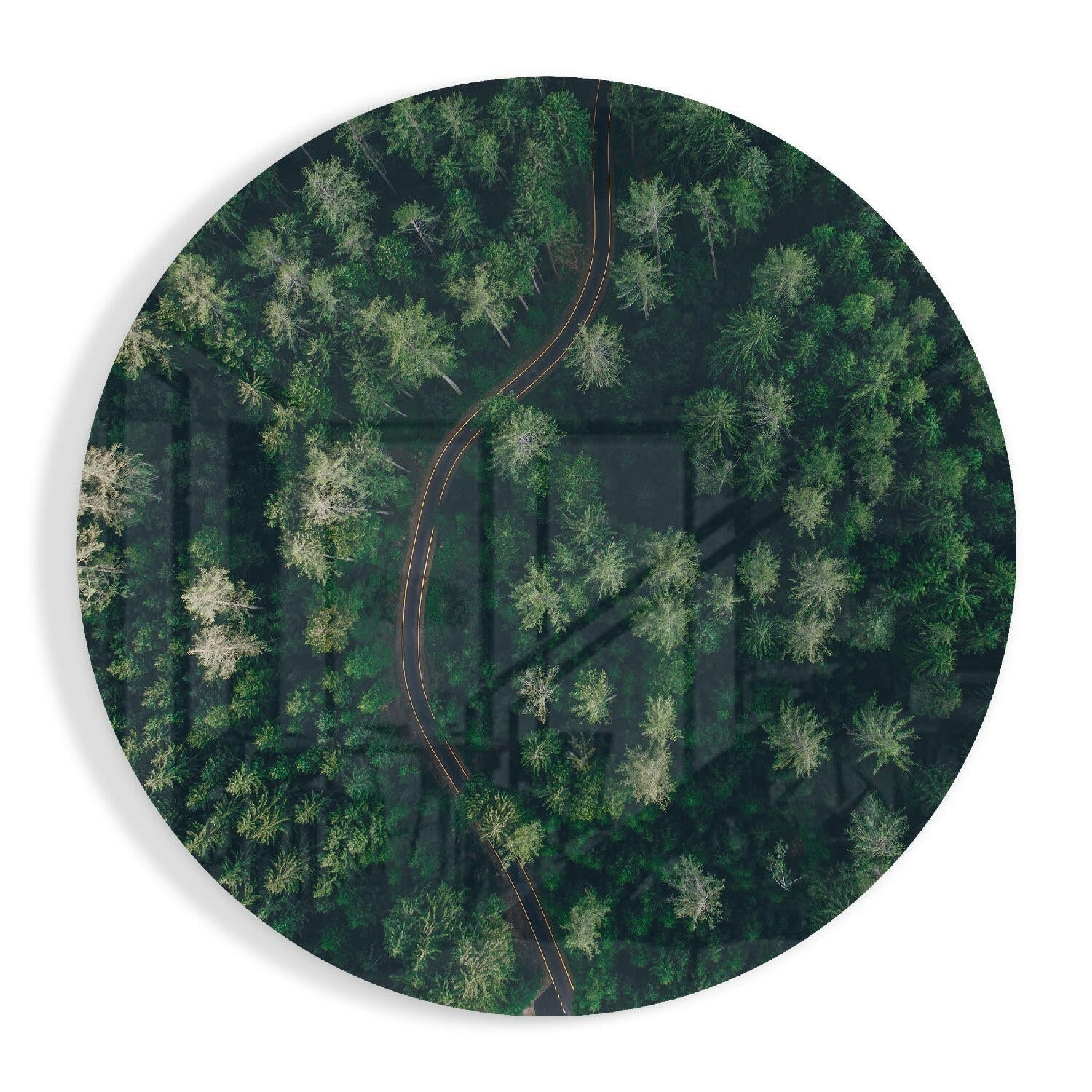 Green forest glass wall art woodland scene