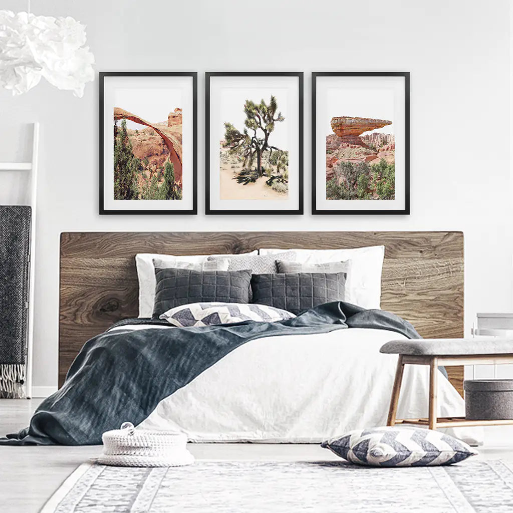 Desert National Park Wall Art Set of 3 Prints