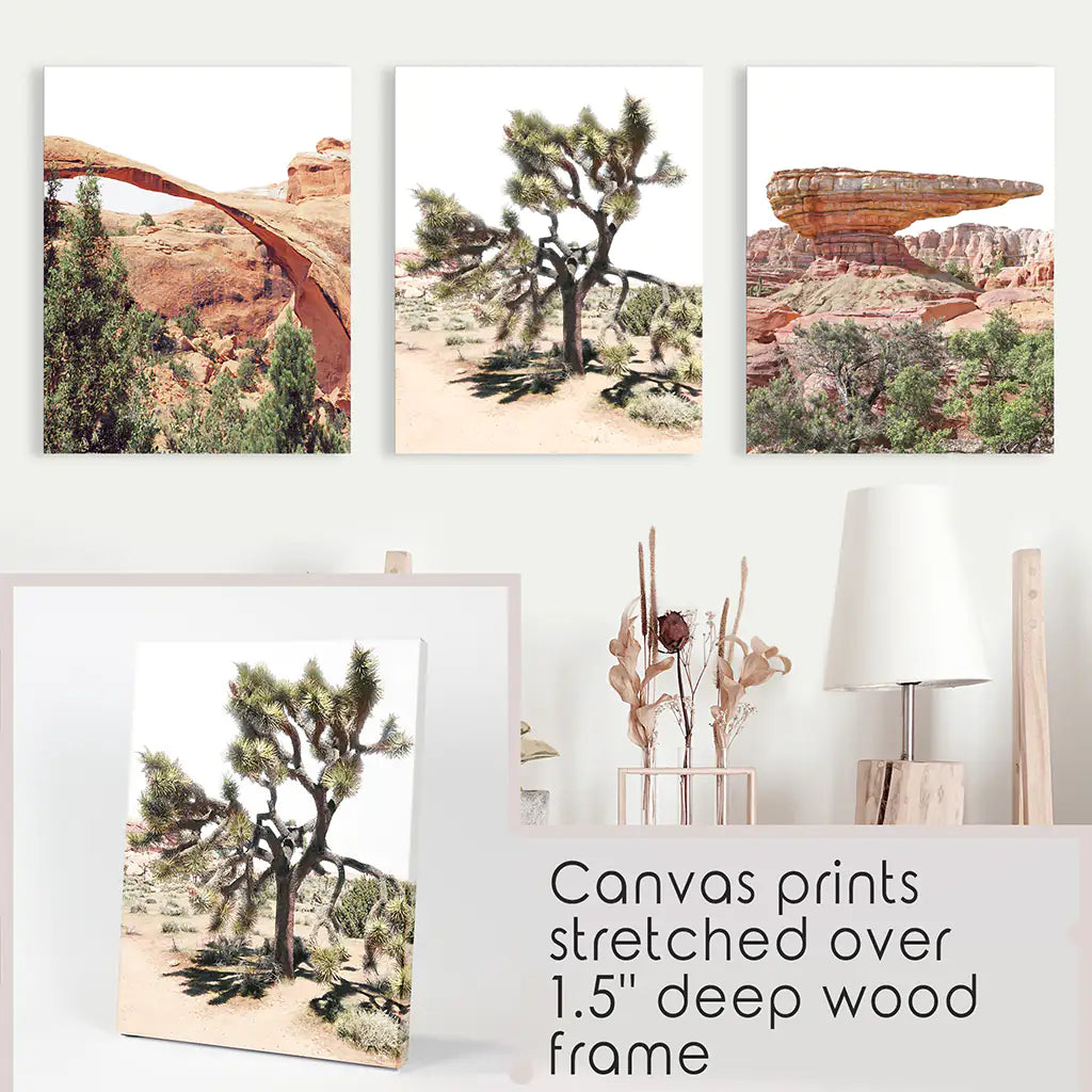 Desert National Park Wall Art Set of 3 Prints