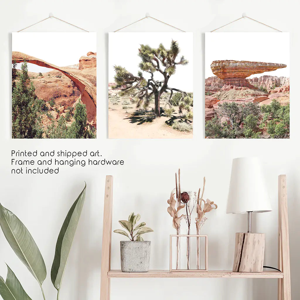Desert National Park Wall Art Set of 3 Prints