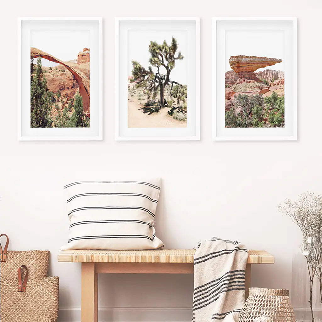 Desert National Park Wall Art Set of 3 Prints