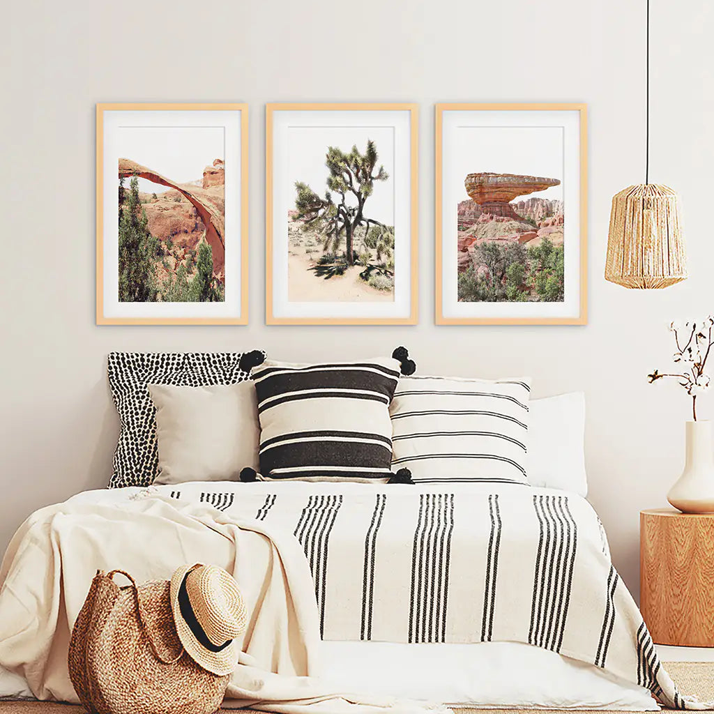 Desert National Park Wall Art Set of 3 Prints