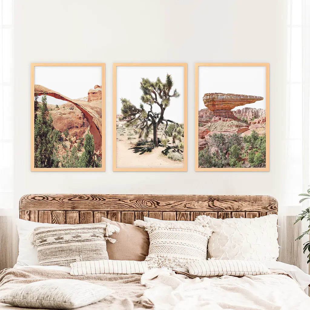 Desert National Park Wall Art Set of 3 Prints