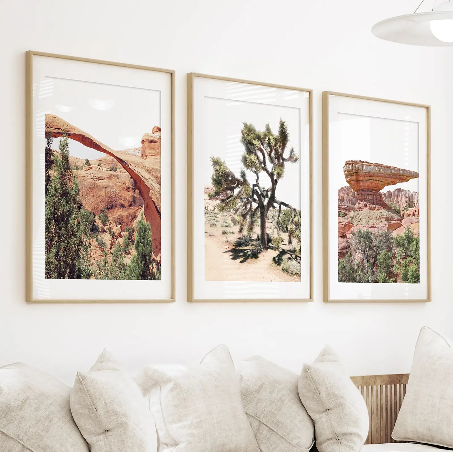 Desert National Park Wall Art Set of 3 Prints