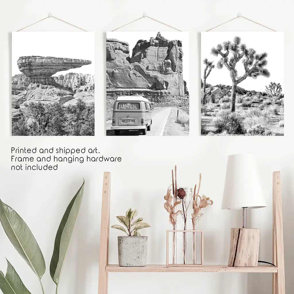 Black and White Desert Wall Art Set of 3 Prints