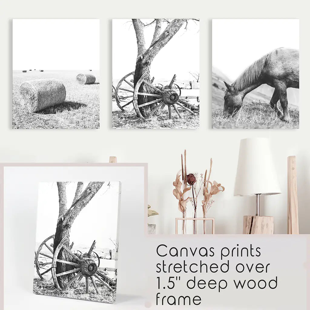 Black White Farmhouse Wall Art Set of 3. Horse, Hay Bales