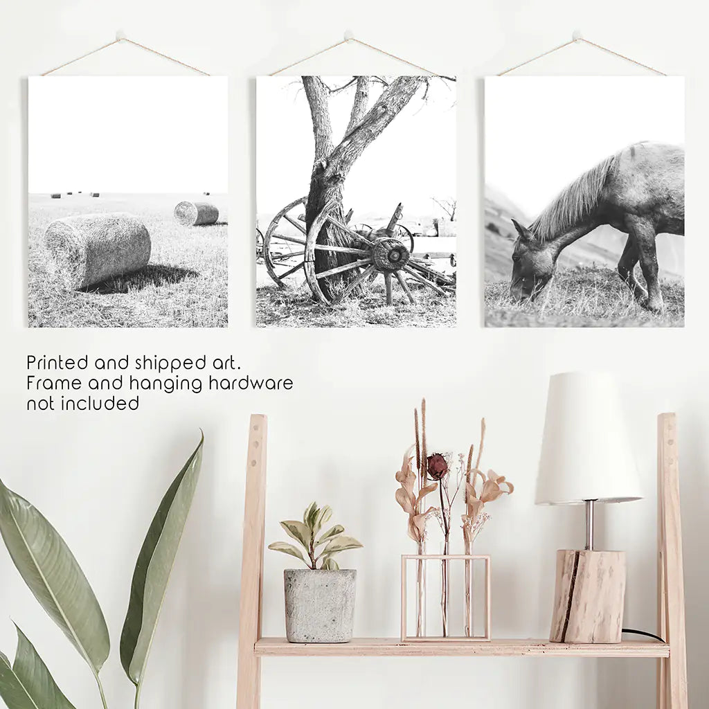 Black White Farmhouse Wall Art Set of 3. Horse, Hay Bales