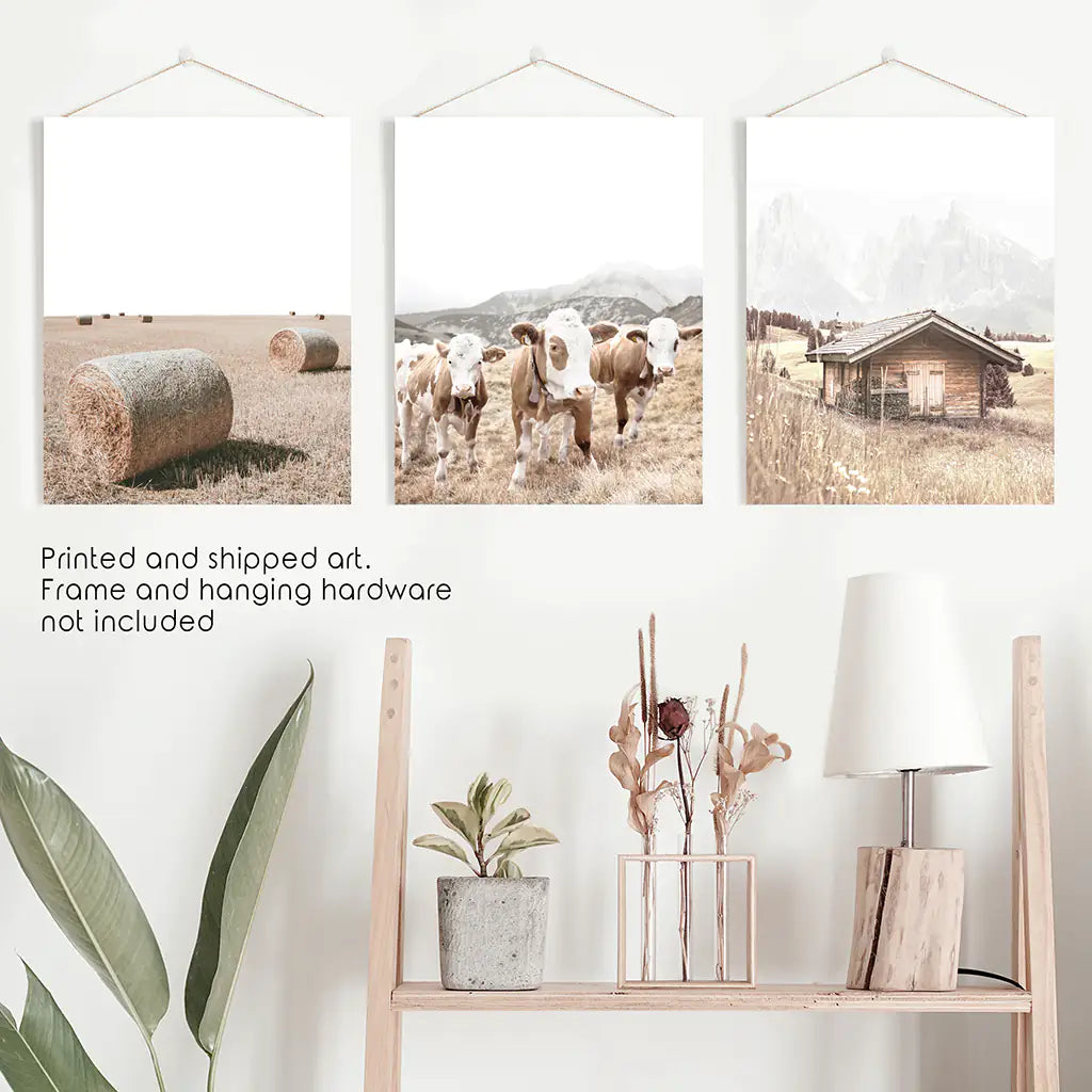 Rustic Farm Wall Art Set of 3. Barn, Cows, Hay Bales