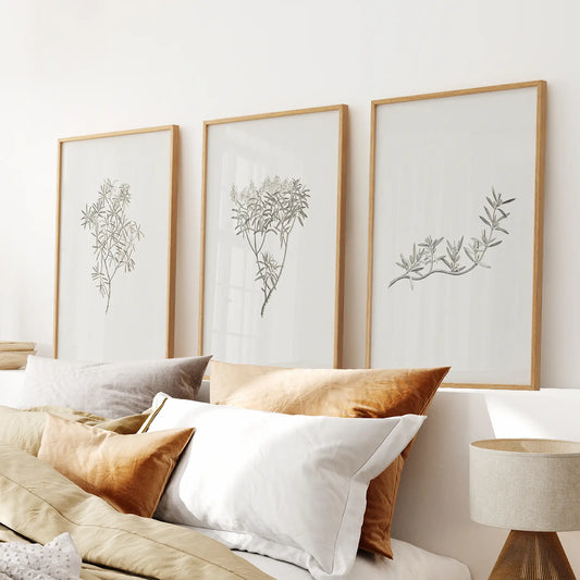 Vintage neutral black and white botanical wall art set of 3 prints