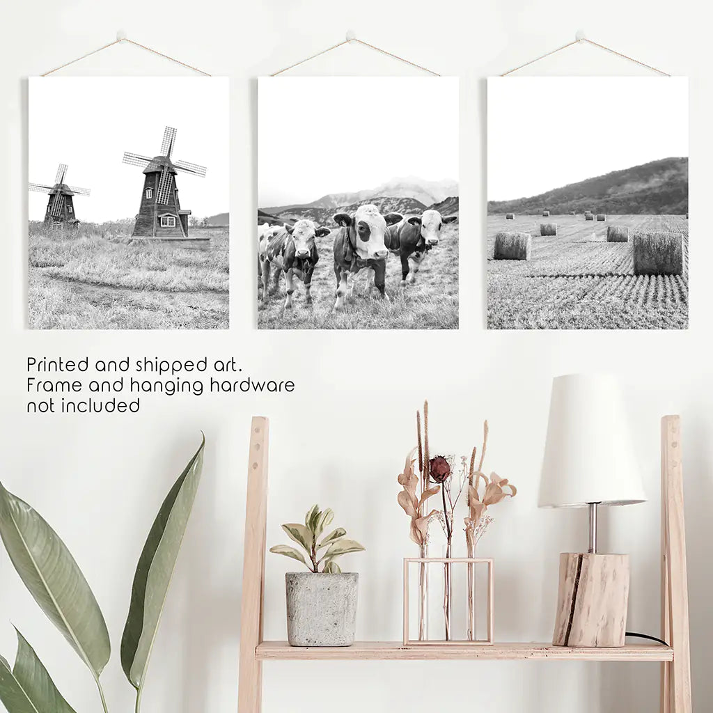 Black White Farmhouse Wall Art Set of 3. Windmill, Cows