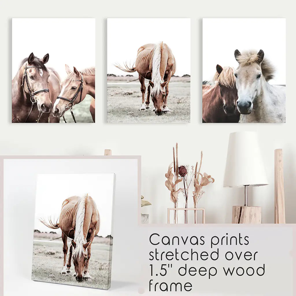Arizona Desert Wall Art, Grand Canyon and Cactus 3 Piece Set