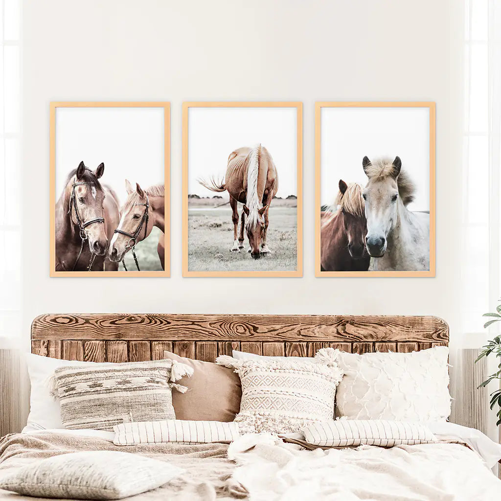Arizona Desert Wall Art, Grand Canyon and Cactus 3 Piece Set
