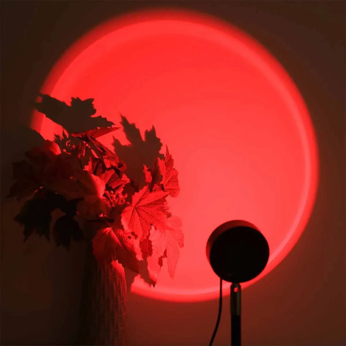 Sunset lamp creating vibrant red romantic projection in bedroom with decorative plants